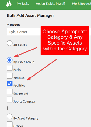 Bulk Add Asset Manager